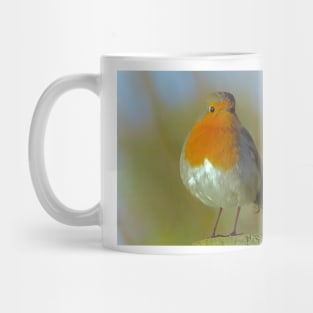 ROBIN REDBREAST Mug